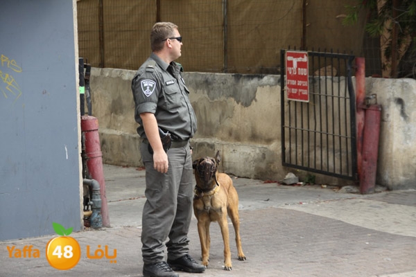 firenewirtyraa3409 (16).JPG